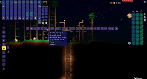 From Novice to Expert: The Journey of a Magic Arrow User in Terraria